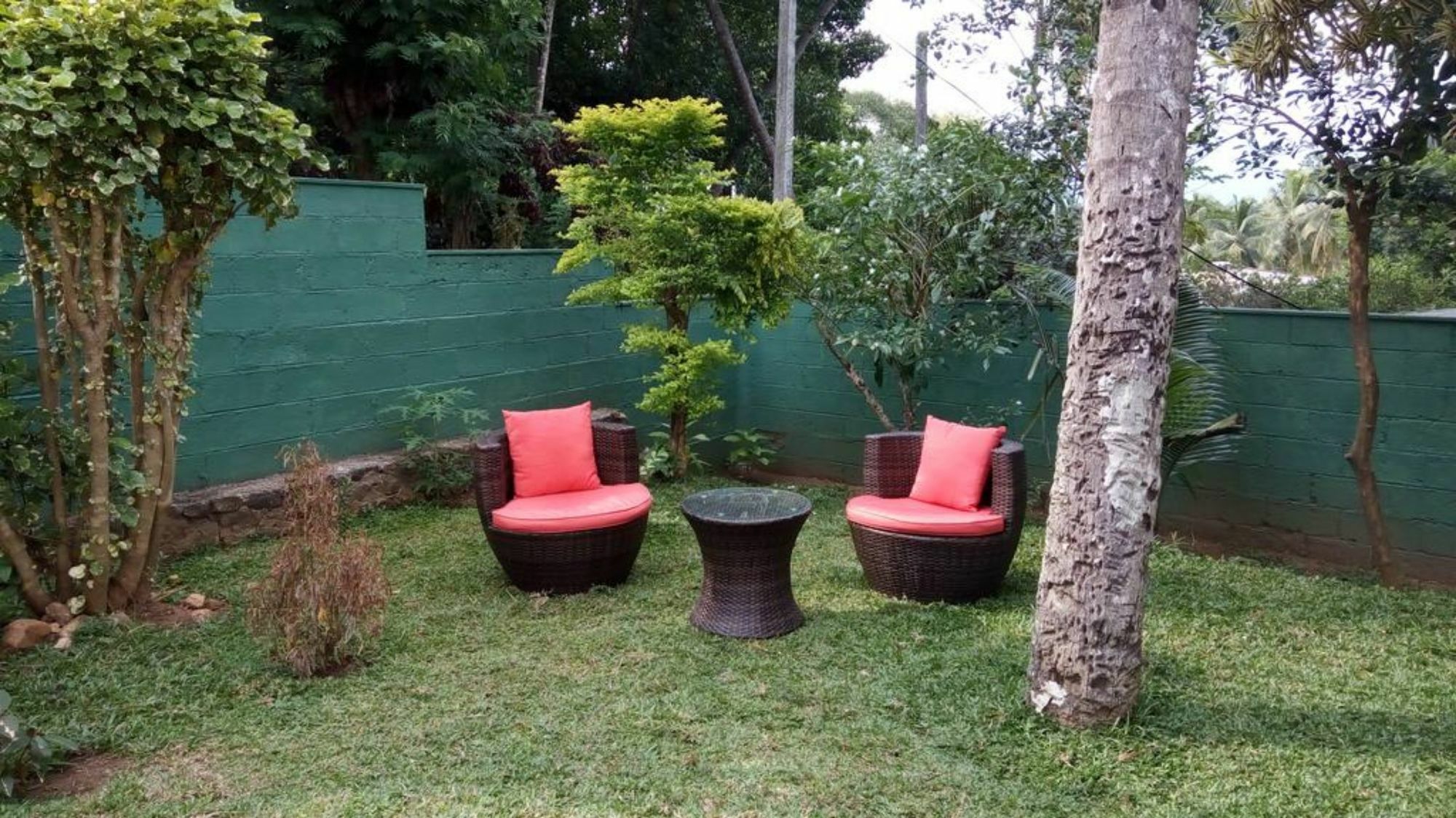 La Sachara Bed & Breakfast Kandy Exterior photo